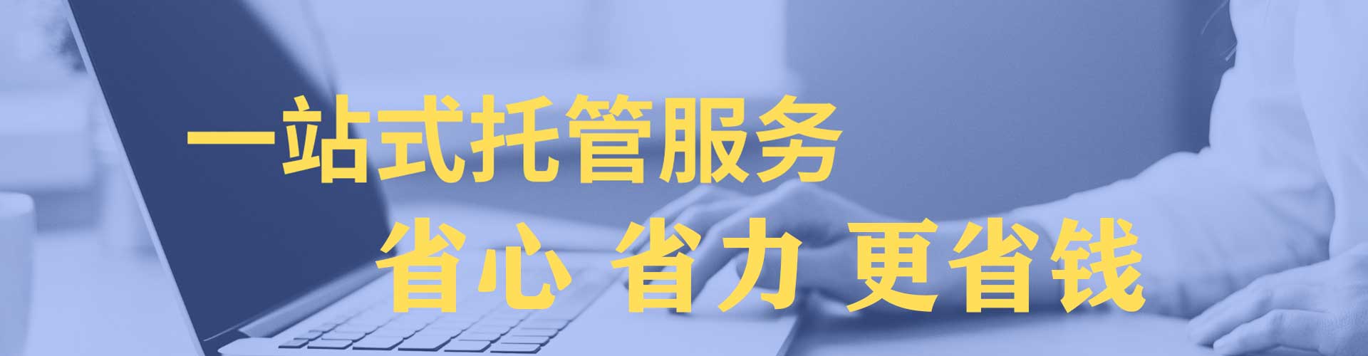 东坡小红书信息流